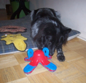 Pierson Kibble Drop Dog Toy 1