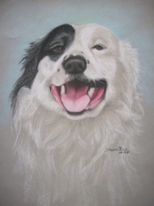 Drawing of Rocky the Dog - Pastel